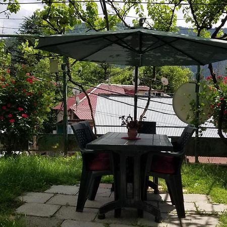 Guest House Green Rose Borjomi Exterior photo